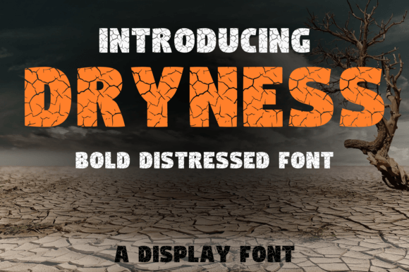Dryness Font: Elevating Small Business Branding